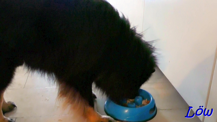 11.12.2024 - Howard lässt sich schmecken